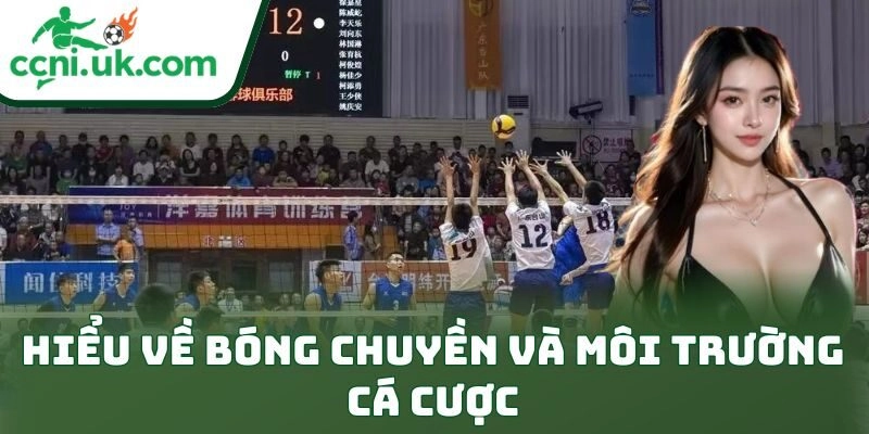 Kinh Nghiệm Cá Cược Bóng Chuyền Thực Chiến Cho Dân Chơi 1 Hiểu về bóng chuyền và môi trường cá cược